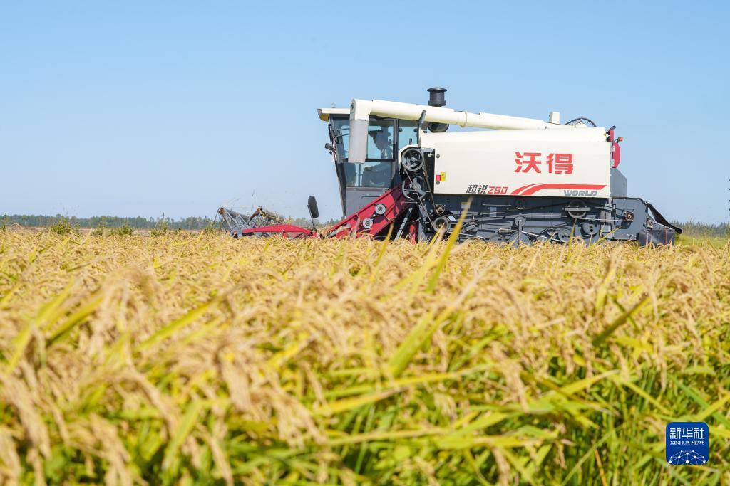 2018集结号加微信送分